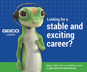 Geico web image 19