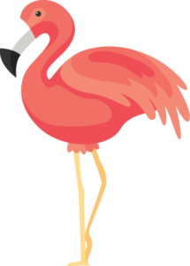 flamingo 2