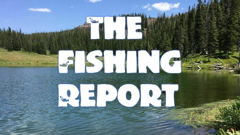 The Fishing Report