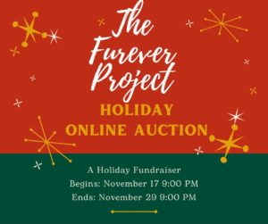 holidayauction