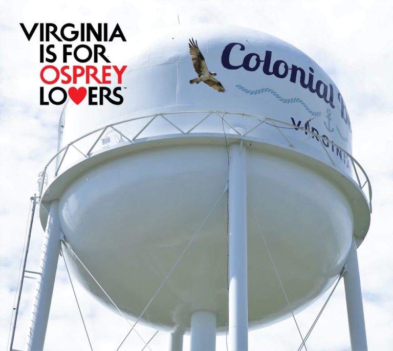 Virginia Osprey Festival in Colonial Beach