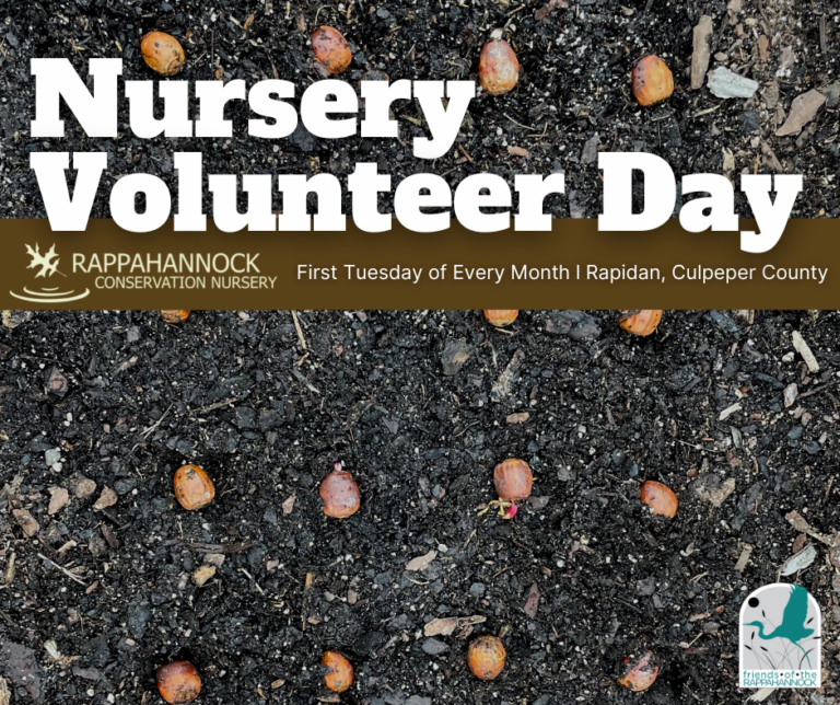 November Nursery Volunteer Day