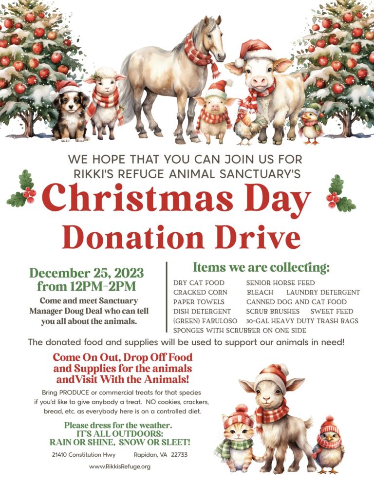 Christmas Day Donation Drive
