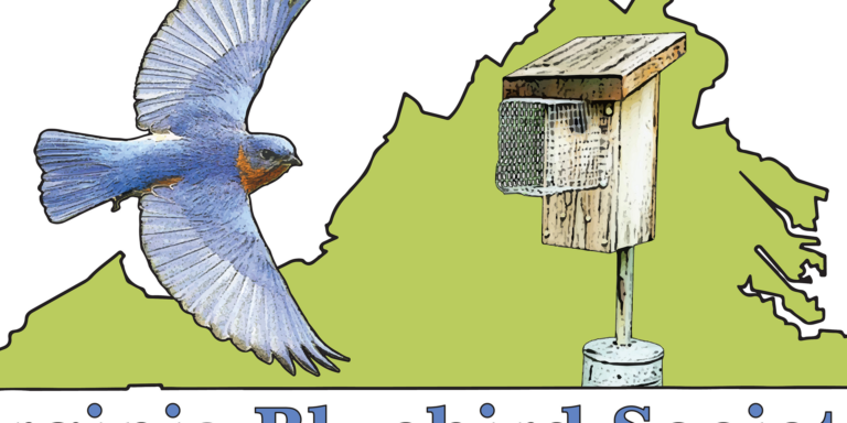 Bluebird Basics and Bluebird Monitoring Training