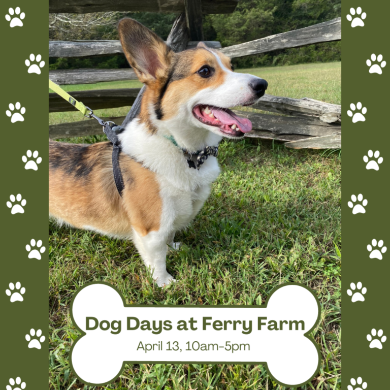 Dogs Days at Ferry Farm